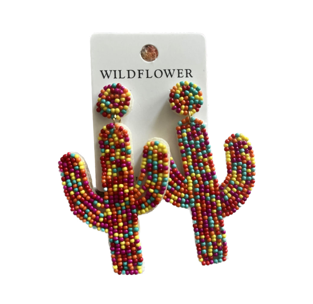 Multicolor Cactus